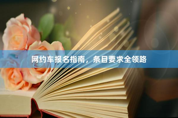 网约车报名指南，条目要求全领路