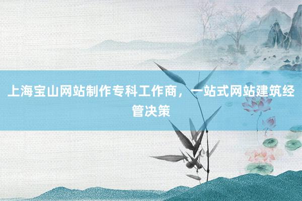 上海宝山网站制作专科工作商，一站式网站建筑经管决策