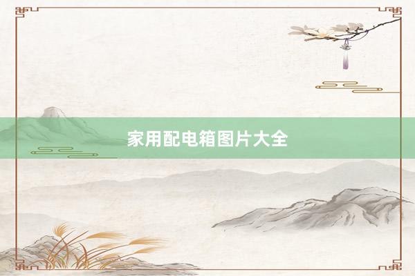 家用配电箱图片大全