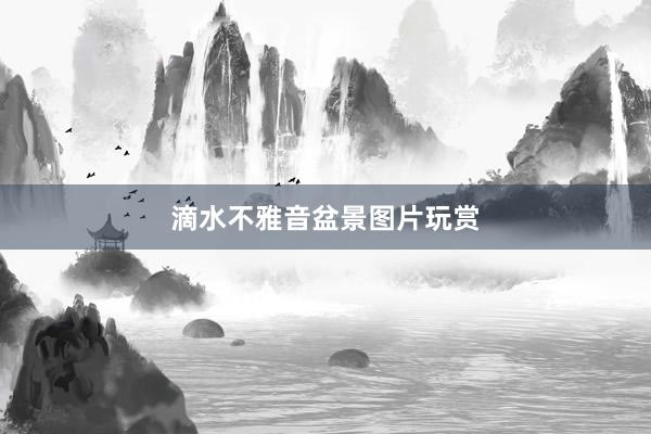 滴水不雅音盆景图片玩赏