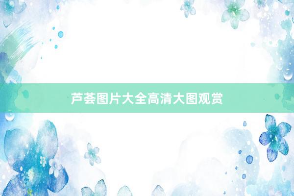 芦荟图片大全高清大图观赏