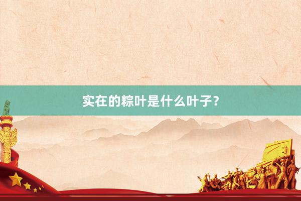 实在的粽叶是什么叶子？