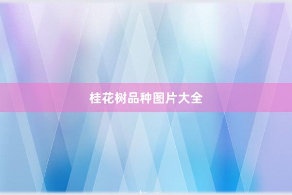 桂花树品种图片大全